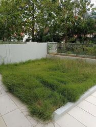 Kovan Regency (D19), Condominium #635183711